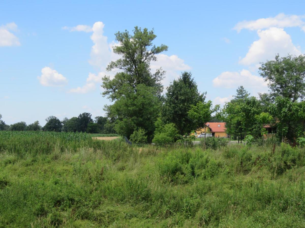 Mill House Apartment And Camping Ljutomer Exterior foto