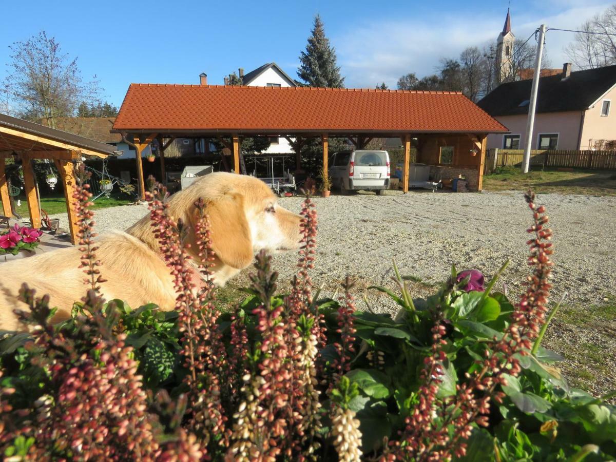 Mill House Apartment And Camping Ljutomer Exterior foto